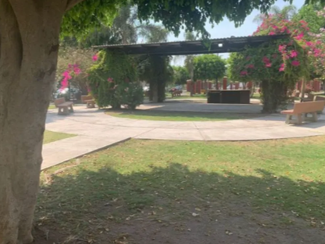 place photo 12
