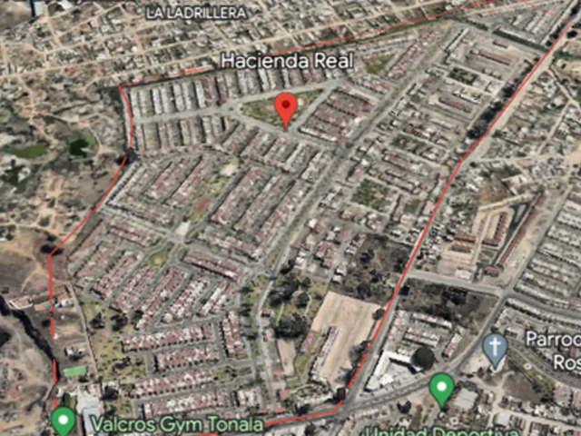place photo 24