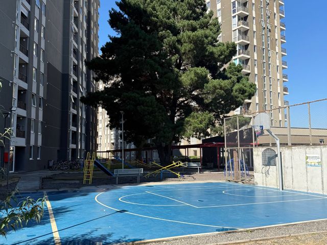 place photo 16