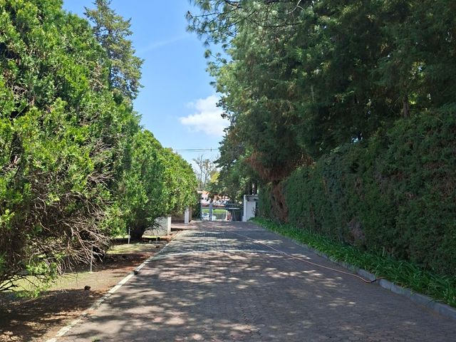 place photo 54