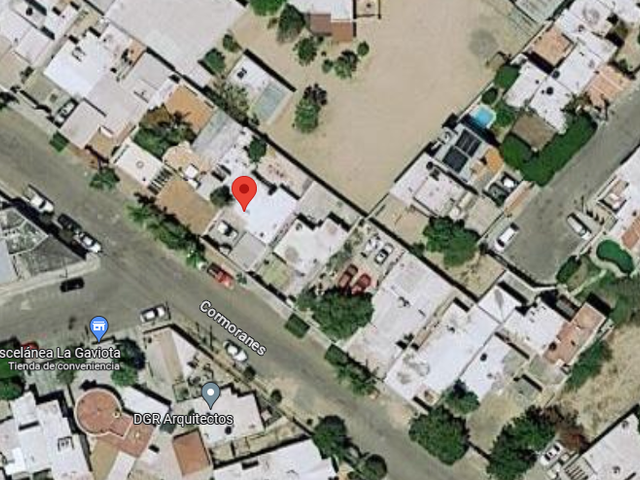 place photo 11