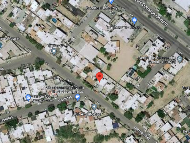 place photo 12