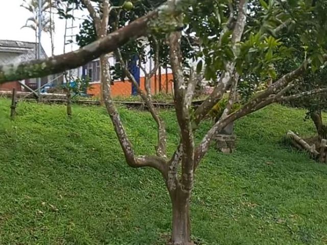 place photo 48