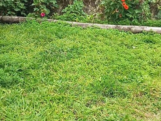 place photo 49