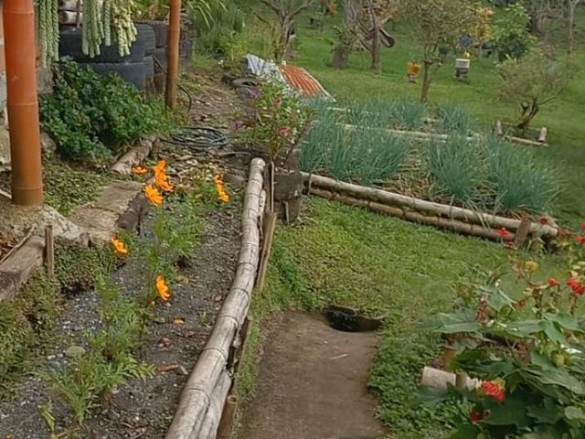 place photo 41