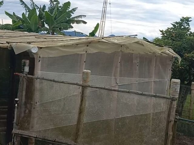 place photo 45