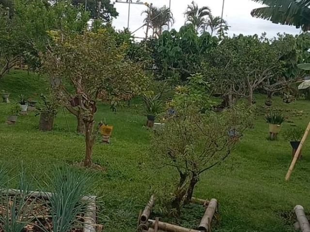 place photo 51