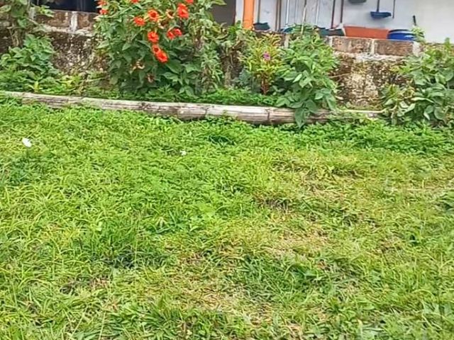 place photo 52