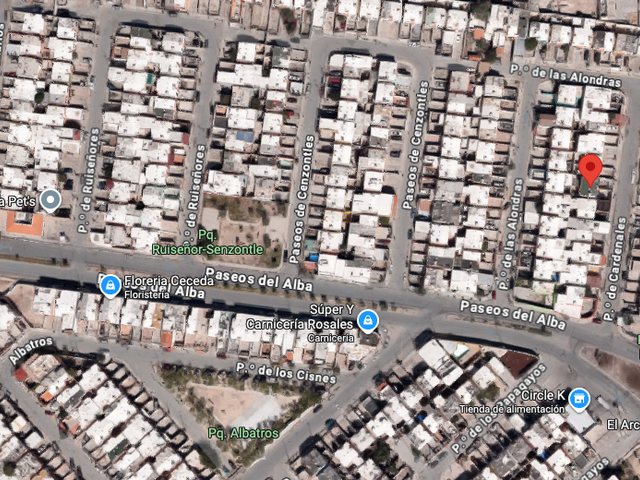 place photo 10