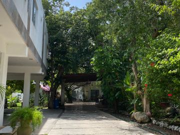 place photo 16