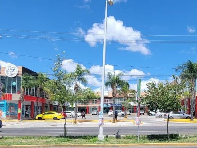 place photo 22