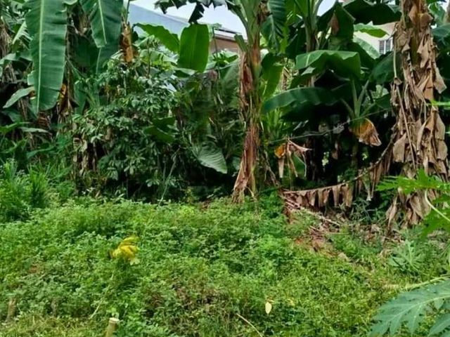 For Sale: Vacant Lot in Filinvest 2, Quezon City