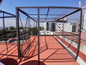 place photo 26