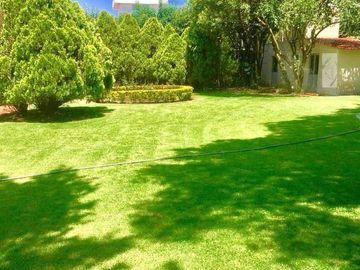place photo 41