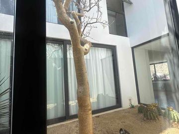 place photo 43