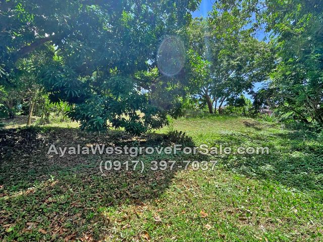 place photo 31