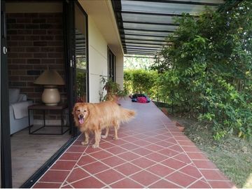 place photo 40