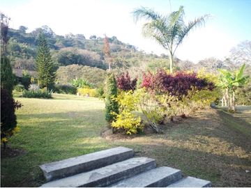 place photo 62