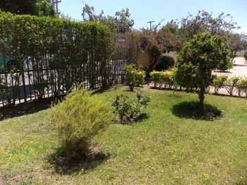 place photo 19