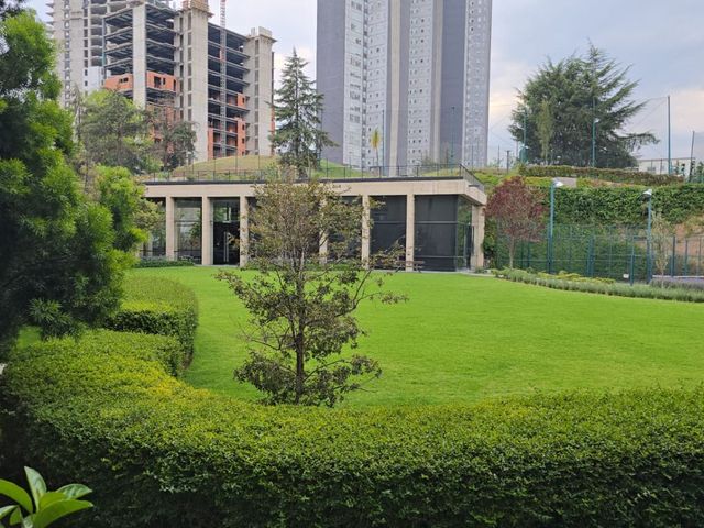 place photo 38