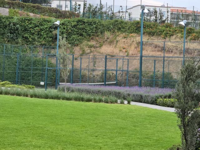 place photo 63