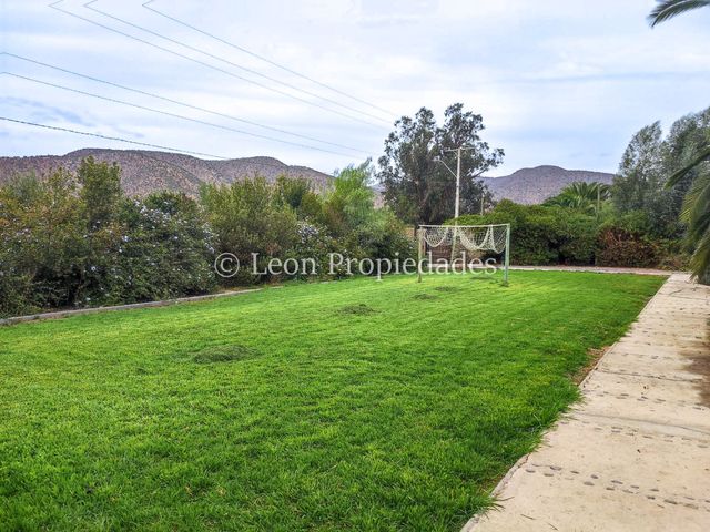 place photo 27