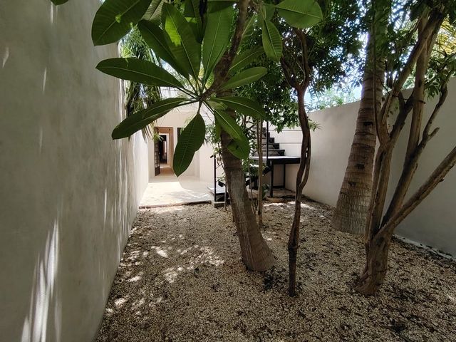 place photo 41