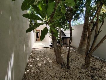 place photo 41