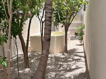 place photo 46