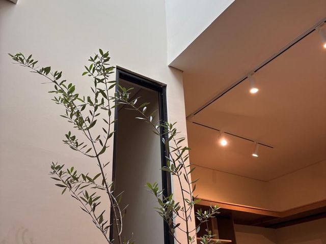 place photo 30