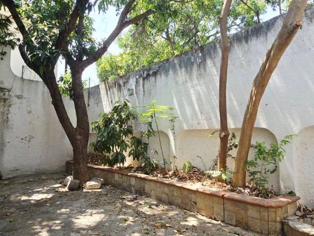 place photo 26