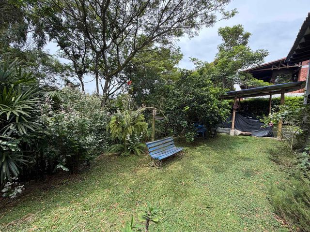 place photo 36