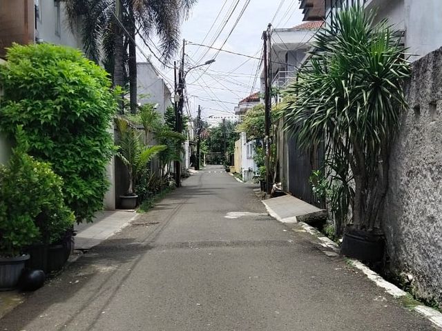 place photo 3