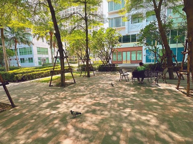 place photo 13