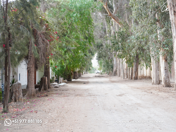 place photo 20