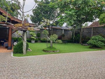 place photo 18