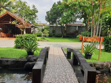 place photo 29