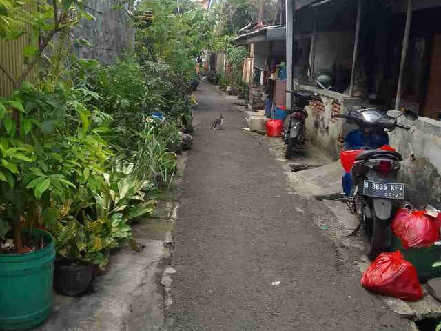 place photo 3