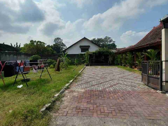 place photo 39