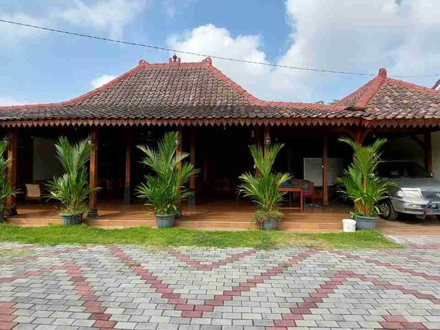 place photo 17