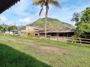 place photo 43