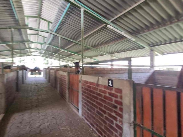 place photo 45