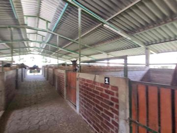 place photo 45