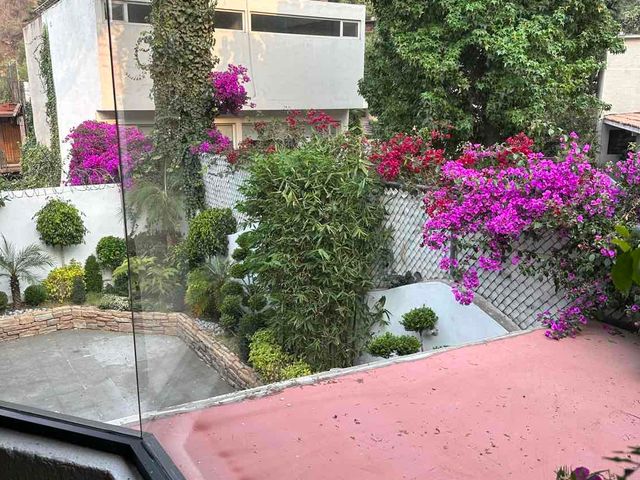 place photo 42