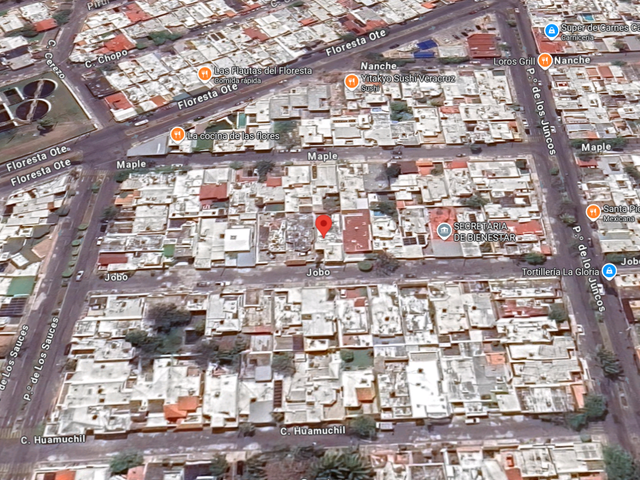 place photo 10