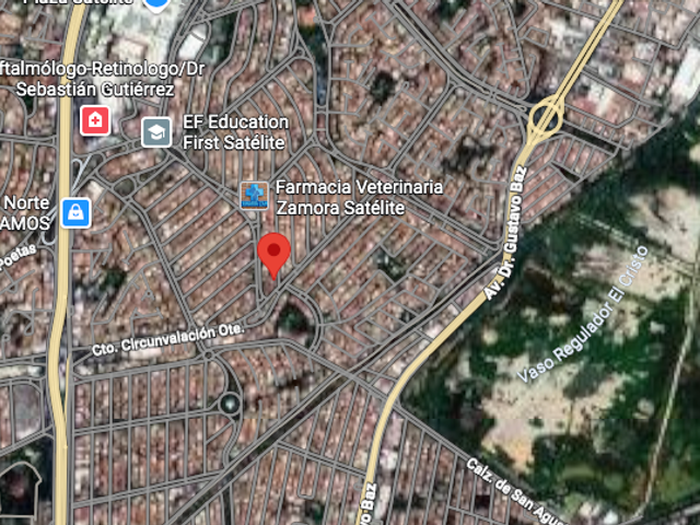 place photo 9