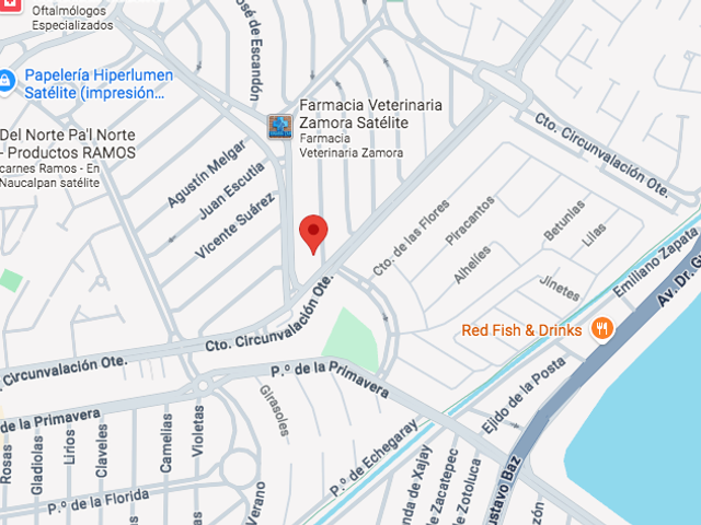 place photo 11