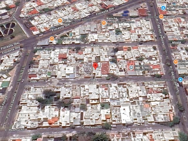 place photo 4