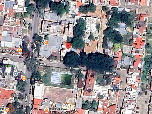 place photo 7