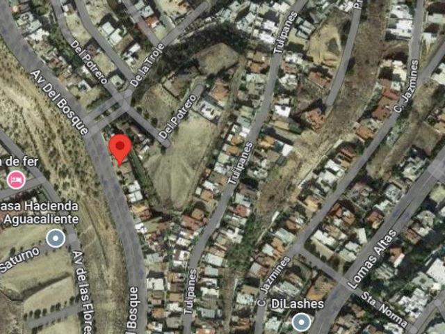 place photo 11